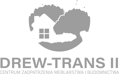 logo Drewtrans.png